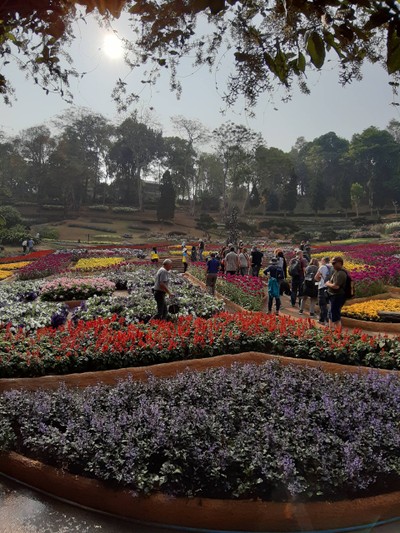 เชียงใหม่-เชียงราย 
สายบุญ สายศิลป์ สายกิน จัดเต็ม ปั๊วะๆ !