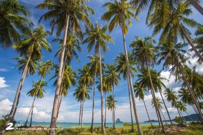 ชีวิตติด (ใจ) เกาะ .. Surin - Yao Yai - Yao Noi ...