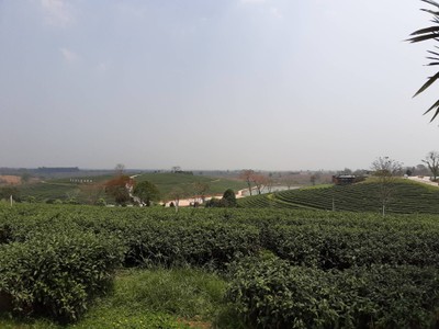 ถ่ายวิวหน่อย