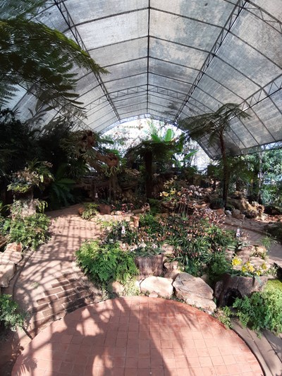 บริเวณนี้ร่มดีนะมีบังแดด