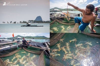 ชีวิตติด (ใจ) เกาะ .. Surin - Yao Yai - Yao Noi ...