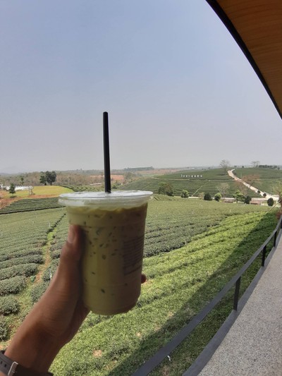 ชาเขียวอร่อยดีนะหอมชาดี