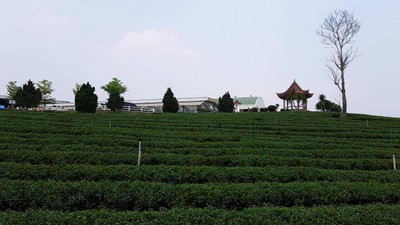 ที่เห็นนี่ไม่ใช่ตอนเช้านะแต่ไปช่วงมีฝุ่นจ้า