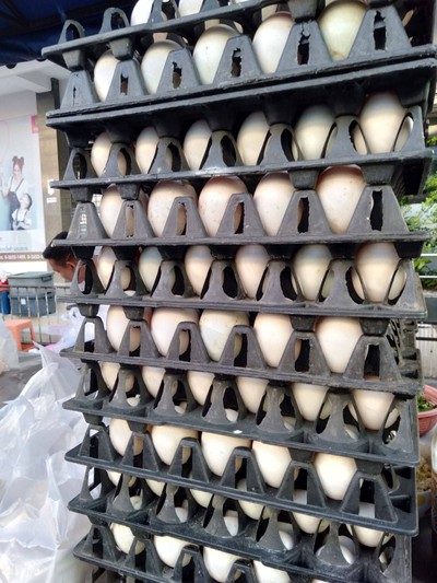 ไข่เป็ด