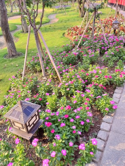 เชียงใหม่-อ.ไชยปราการ-อ.ฝาง 
ทริป ประหยัด สบายกระเป๋า ^^