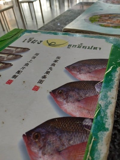 เชียงใหม่-อ.ไชยปราการ-อ.ฝาง 
ทริป ประหยัด สบายกระเป๋า ^^