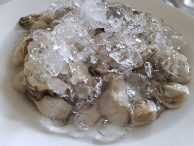หอยนางรมสด