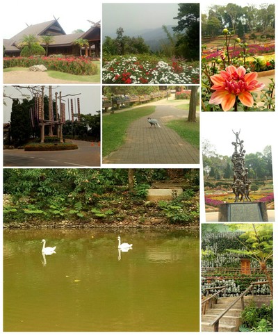 แอ่วเชียงฮาย