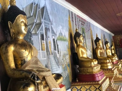 ทริปเชียงใหม่ 3 วัน 2 คืน
ช่วงเดือนมีนาคม :)