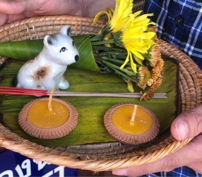 ทริปเชียงใหม่ 3 วัน 2 คืน
ช่วงเดือนมีนาคม :)