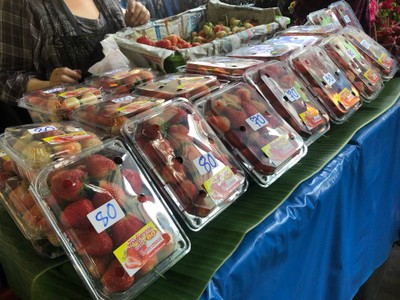 ทริปเชียงใหม่ 3 วัน 2 คืน
ช่วงเดือนมีนาคม :)