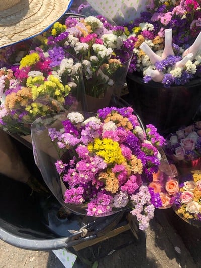 ทริปเชียงใหม่ 3 วัน 2 คืน
ช่วงเดือนมีนาคม :)