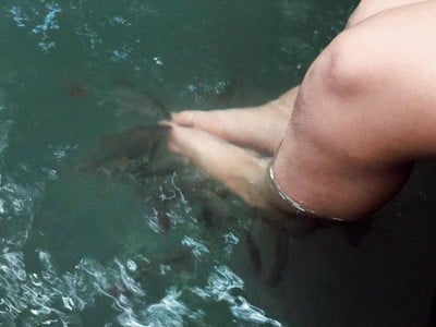 สปาปลาตอดสวนตาสวรรค์