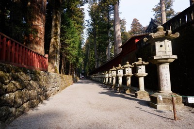 ทางเดินมา Futarasan shrine 