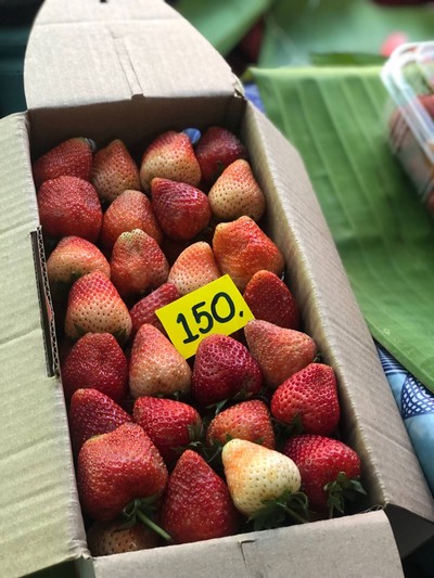 ทริปเชียงใหม่ 3 วัน 2 คืน
ช่วงเดือนมีนาคม :)