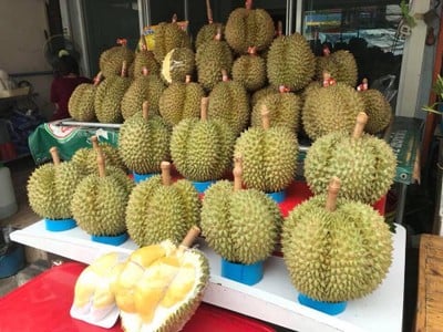 เมนูของร้าน ทุเรียนฟ้าใส ผลไม้ตามฤดูกาล ลาดพร้าว112 รามคำแหง 53