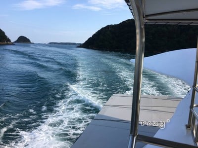 ล่องเรือปลาโลมา แสนชิล