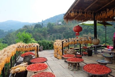 เชียงราย - แม่สาย กินจนท้องแตกลาย