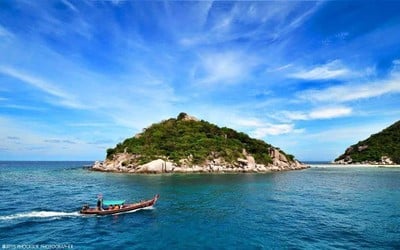 เกาะเต่า