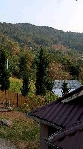 เชียงใหม่-เชียงราย 
สายบุญ สายศิลป์ สายกิน จัดเต็ม ปั๊วะๆ !