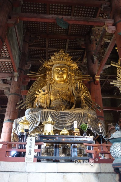 Wakayama หาดทราย ทะเล ออนเซ็น และตลาดปลามากุโร🌊⛩🐟