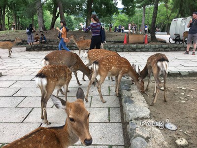 รีบให้รีบไป