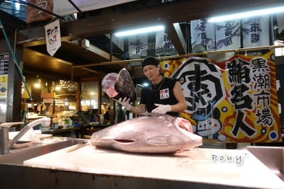 โชว์แร่ปลามากุโร 3ครั้ง/วัน