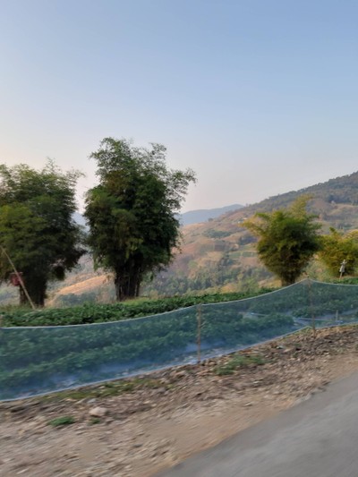 บรรยากาศข้างทางก่อนขึ้นไปรีสอร์ท ทางขึ้นรีสอร์ท