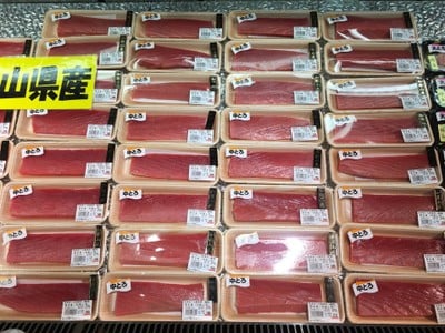 คุณภาพปลามากุโรที่แร่ไว้แล้ว มีทั้ง Otoro, Chutoro, Akami