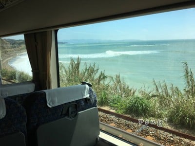 Wakayama หาดทราย ทะเล ออนเซ็น และตลาดปลามากุโร🌊⛩🐟