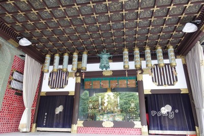 Wakayama หาดทราย ทะเล ออนเซ็น และตลาดปลามากุโร🌊⛩🐟