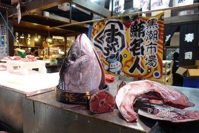 Wakayama หาดทราย ทะเล ออนเซ็น และตลาดปลามากุโร🌊⛩🐟