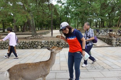 กวาง รุม 😂😂