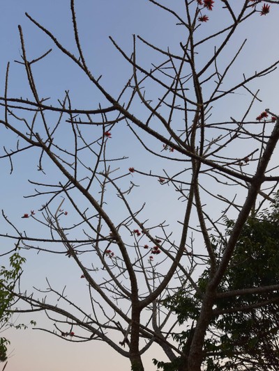 เชียงใหม่-เชียงราย 
สายบุญ สายศิลป์ สายกิน จัดเต็ม ปั๊วะๆ !