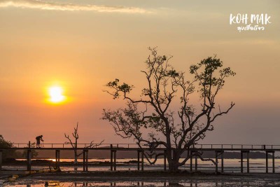 ดวลกันหมัดต่อหมัด Koh Kood vs Koh Mak