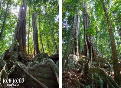 ดวลกันหมัดต่อหมัด Koh Kood vs Koh Mak