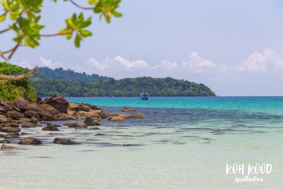 ดวลกันหมัดต่อหมัด Koh Kood vs Koh Mak