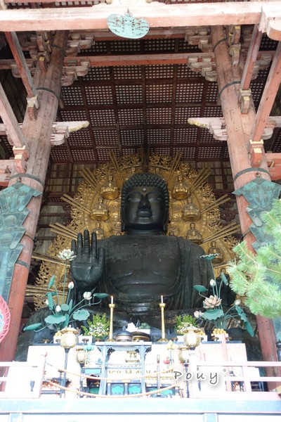 องค์พระประธาน
"Daibutsu "
(องค์พระพุทธที่ทำจากบรอนซ์ใหญ่ที่สุดในโลก)