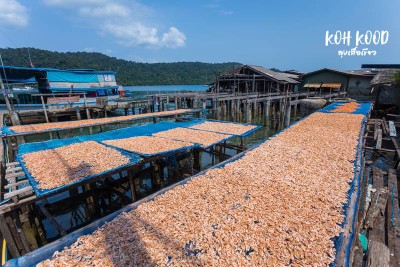 ดวลกันหมัดต่อหมัด Koh Kood vs Koh Mak