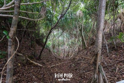 ดวลกันหมัดต่อหมัด Koh Kood vs Koh Mak