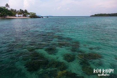 ดวลกันหมัดต่อหมัด Koh Kood vs Koh Mak