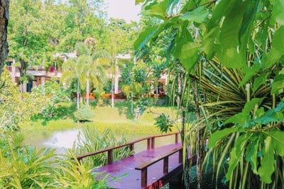 บริเวณโดยรอบ