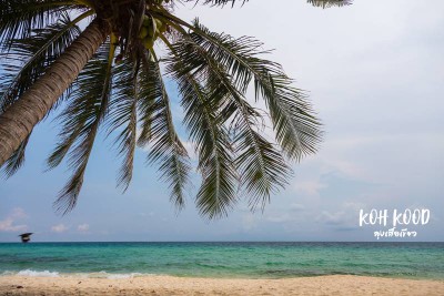 ดวลกันหมัดต่อหมัด Koh Kood vs Koh Mak