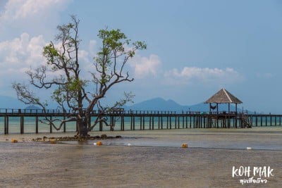 ดวลกันหมัดต่อหมัด Koh Kood vs Koh Mak