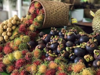 บรรยากาศ สวนเคพี การ์เด้น