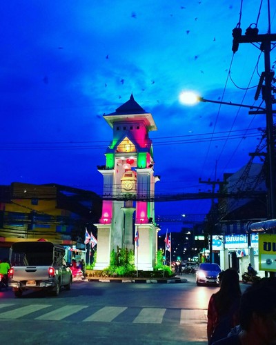 นกนางแอ่นจะออกมายามค่ำคืน เสียงร้องดังบินกันวุ่นเลย