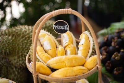 บรรยากาศ สวนทุเรียนแลนด์