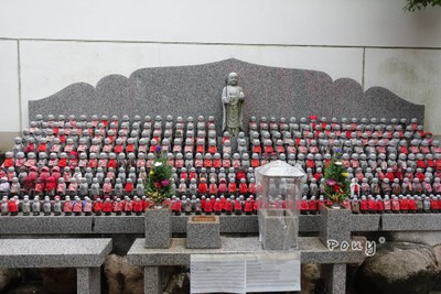 Wakayama หาดทราย ทะเล ออนเซ็น และตลาดปลามากุโร🌊⛩🐟