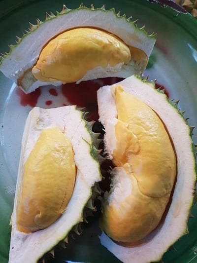 บรรยากาศ บ้านสวนอิสรีย์เกษตรอินทรีย์และฟาร์มม้าเมืองจันท์