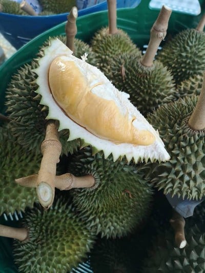 บรรยากาศ สวนภูทิพย์ธารา